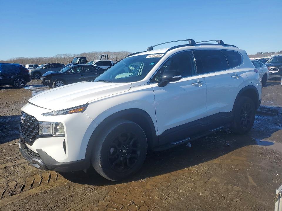2023 HYUNDAI SANTA FE — VIN 5NMS6DAJ9PH608874