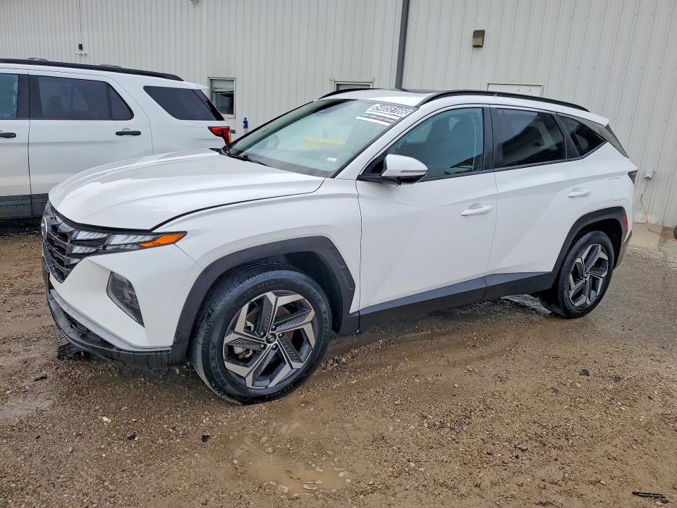 2023 HYUNDAI TUCSON — VIN 5NMJFCAE1PH245611