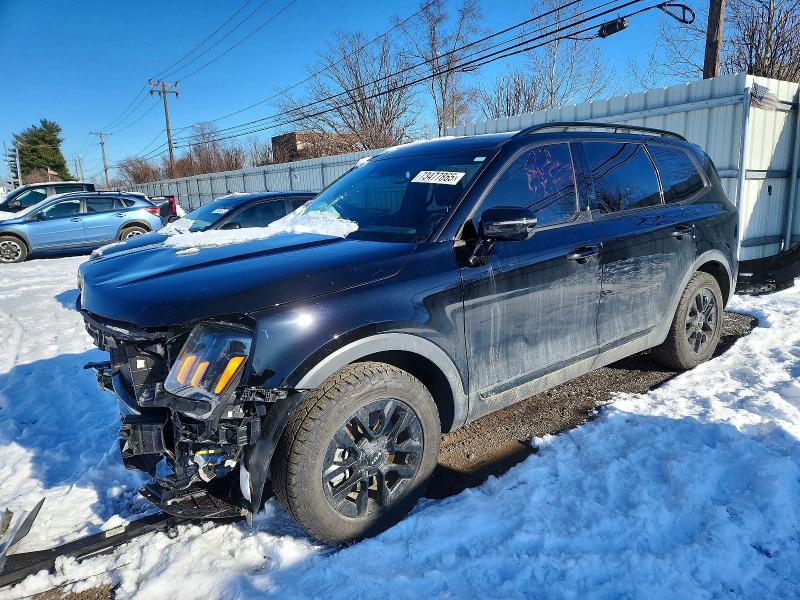 2024 KIA TELLURIDE — VIN 5XYP5DGC4RG475066