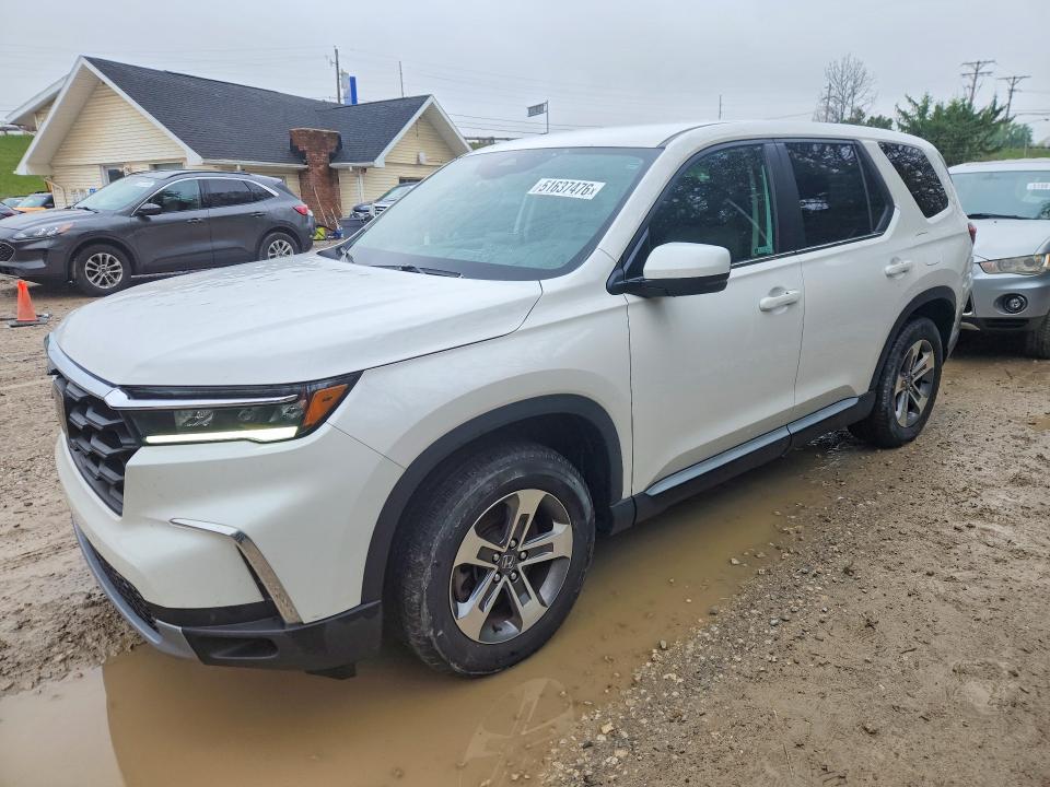 2024 HONDA PILOT — VIN 5FNYG1H56RB011233