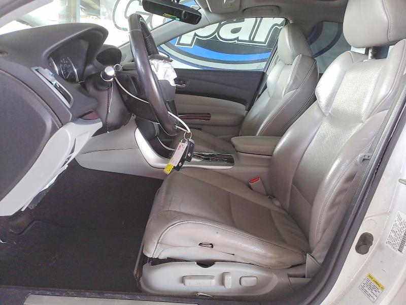 19UUB3F57FA008391