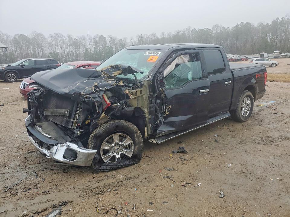 2017 FORD F150 — VIN 1FTEW1EG7HKE46081