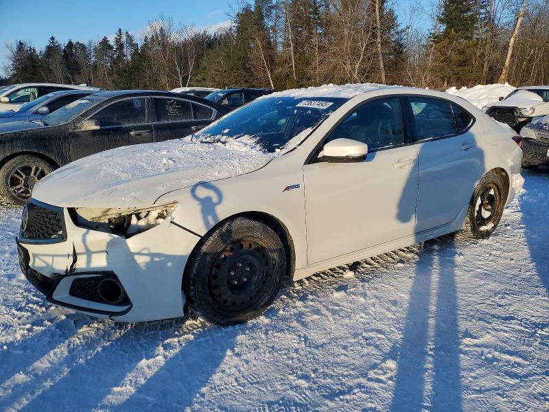 2019 ACURA TLX TECHNO — VIN 19UUB3F65KA801689
