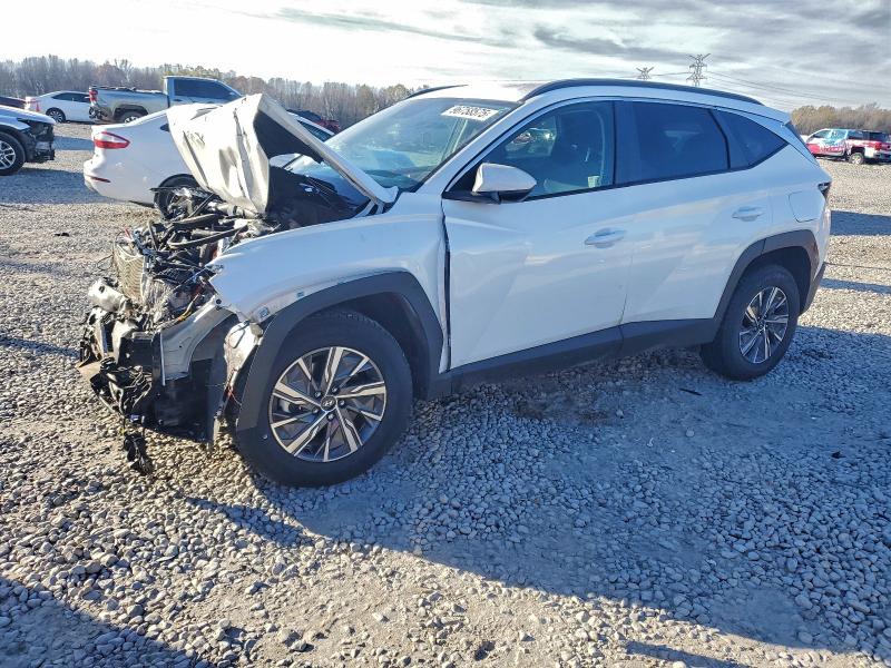 2024 HYUNDAI TUCSON BLU — VIN KM8JBCD15RU226118