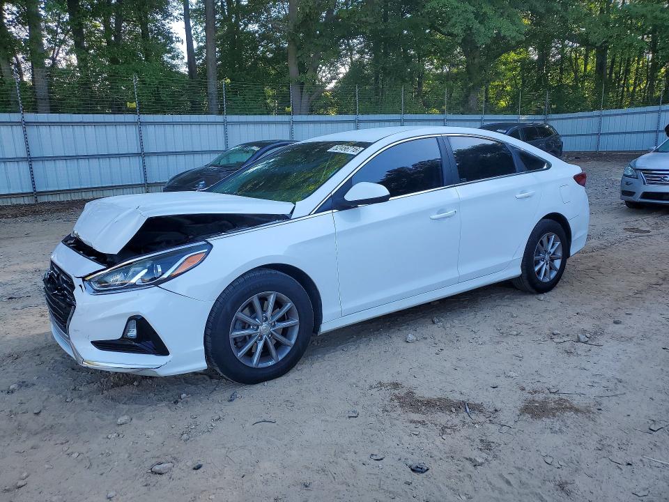 2019 HYUNDAI SONATA — VIN 5NPE24AF1KH741516