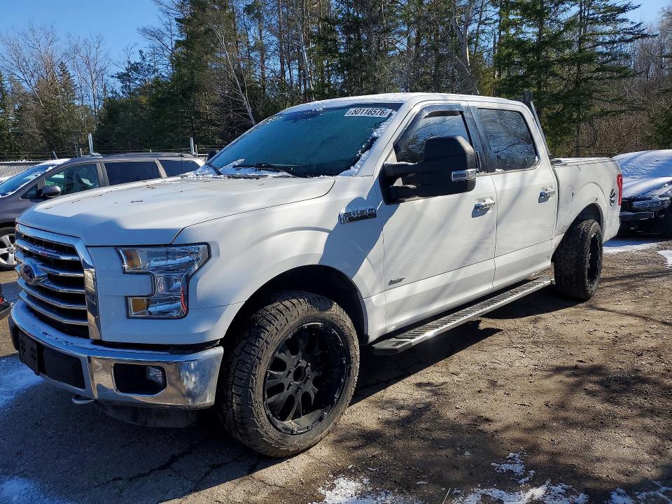 2015 FORD F150 — VIN 1FTEW1EG1FFC09852