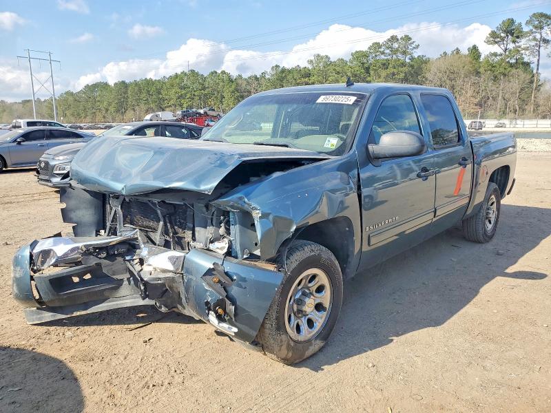 2009 CHEVROLET SILVERADO — VIN 3GCEC13C19G262496