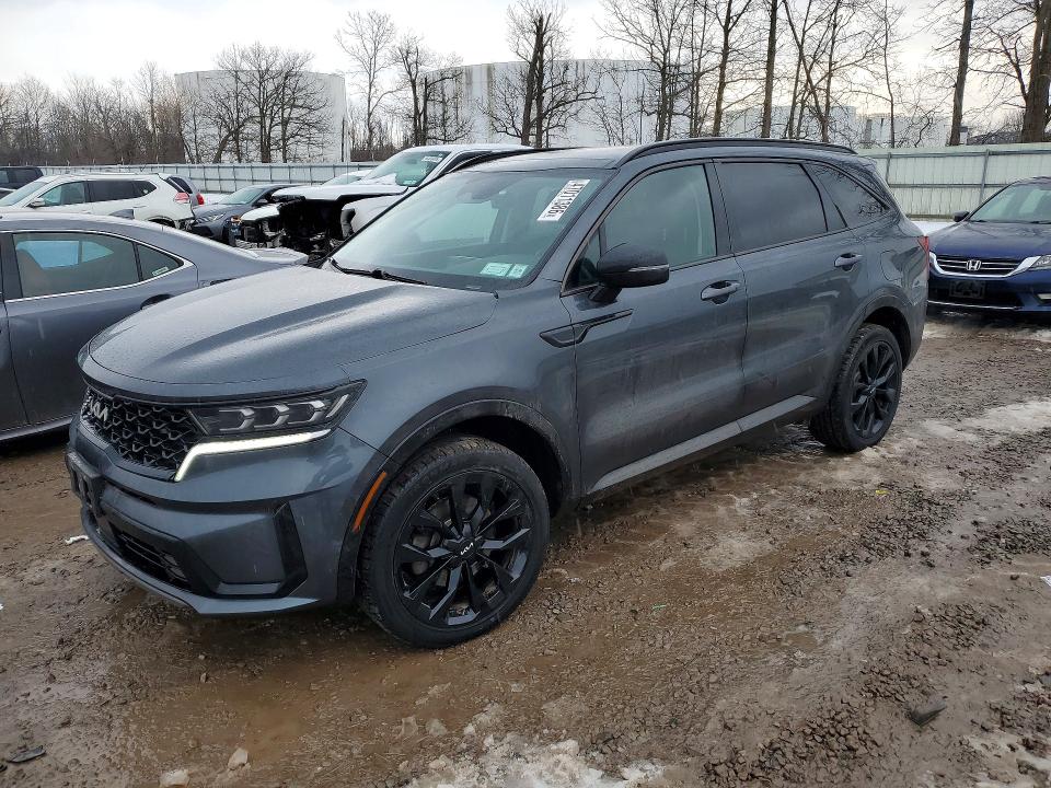 2023 KIA SORENTO — VIN 5XYRKDLF4PG243369