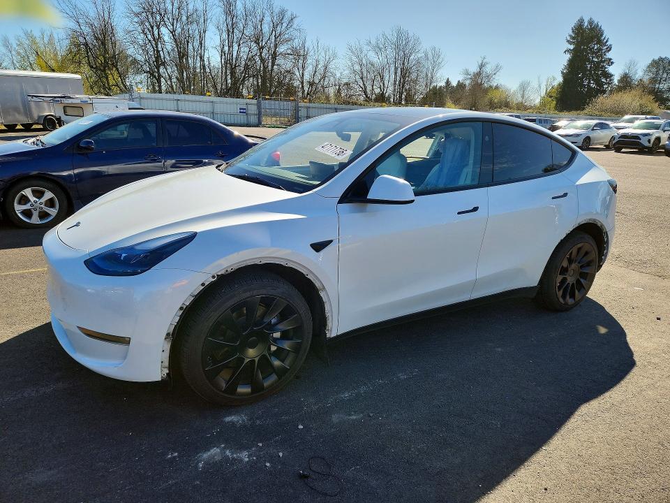 2024 TESLA MODEL Y — VIN 7SAYGDEE5RF002287