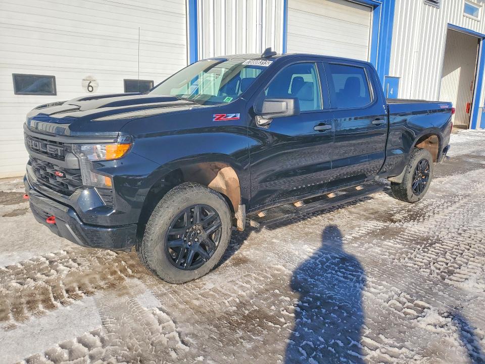2024 CHEVROLET SILVERADO — VIN 3GCUDCED2RG417809