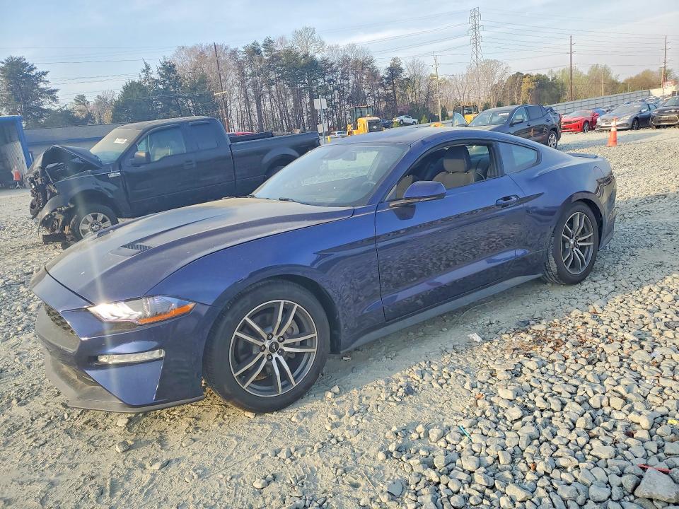 2019 FORD MUSTANG — VIN 1FA6P8TH9K5119554