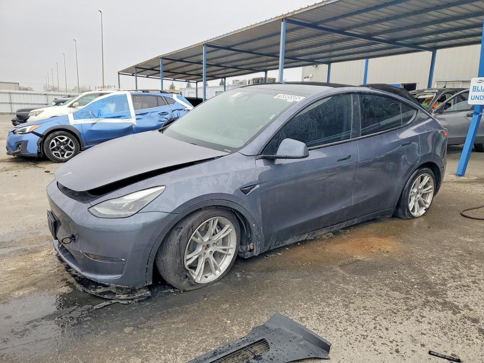 2023 TESLA MODEL Y — VIN 7SAYGDEE0PF639133