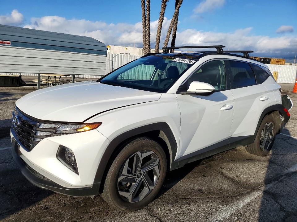 2024 HYUNDAI TUCSON — VIN KM8JCCD13RU214823