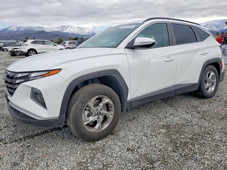 2023 HYUNDAI TUCSON — VIN 5NMJBCAE8PH288600