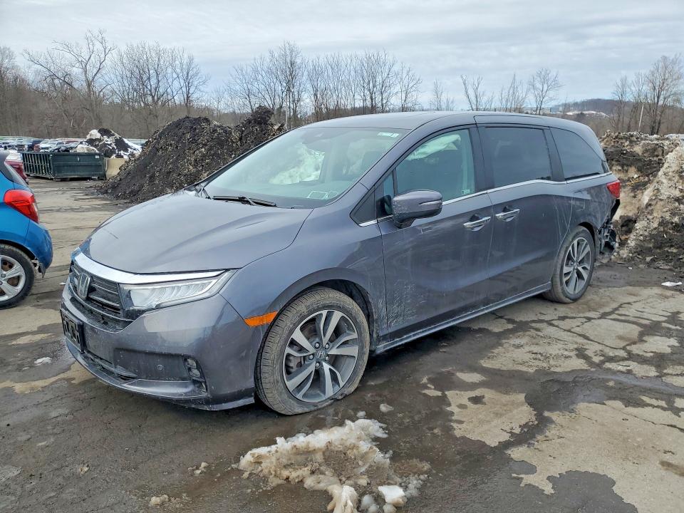 2024 HONDA ODYSSEY — VIN 5FNRL6H81RB028951