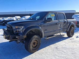 2015 FORD F150 — VIN 1FTEW1EG4FFC59290