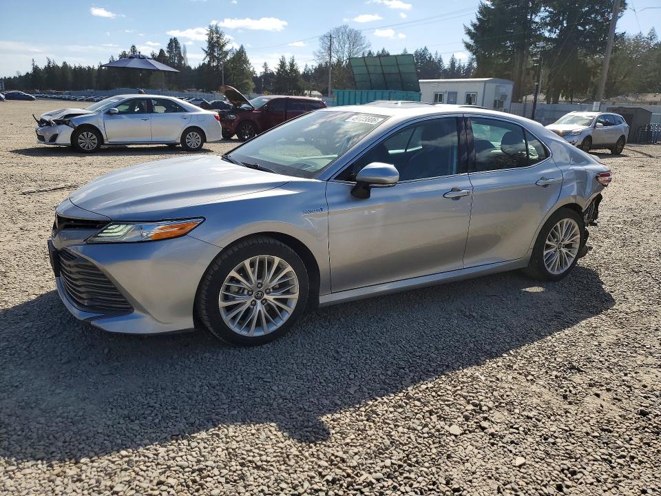 2019 TOYOTA CAMRY HYBRID — VIN 4T1B21HK8KU010524