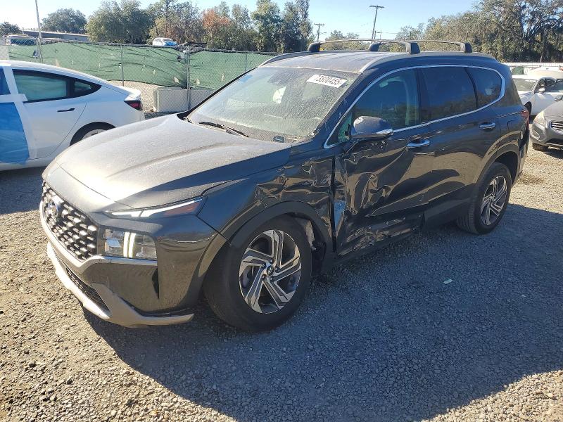 2023 HYUNDAI SANTA FE — VIN 5NMS24AJ8PH606562