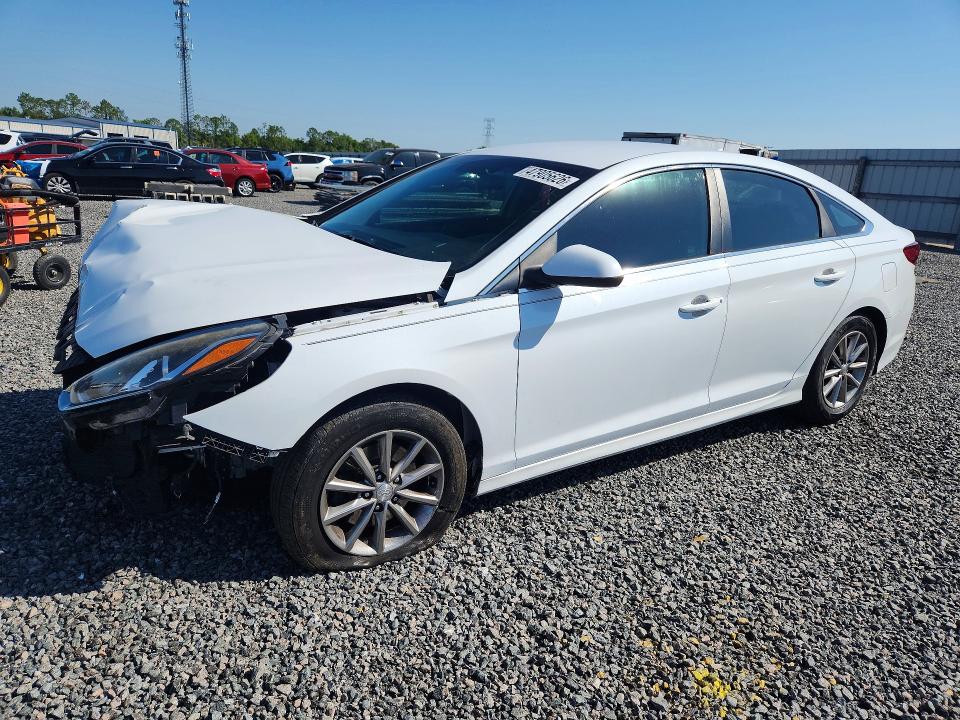 2019 HYUNDAI SONATA — VIN 5NPE24AF7KH745084