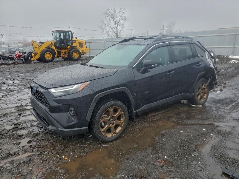 2024 TOYOTA RAV4 WOODL — VIN 2T3UWRFV4RW196766