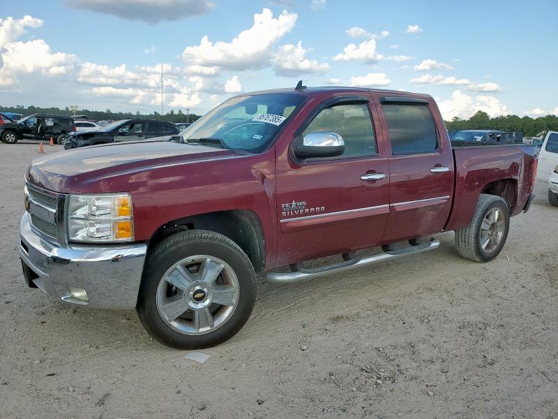 2013 CHEVROLET SILVERADO — VIN 3GCPCSE01DG329818