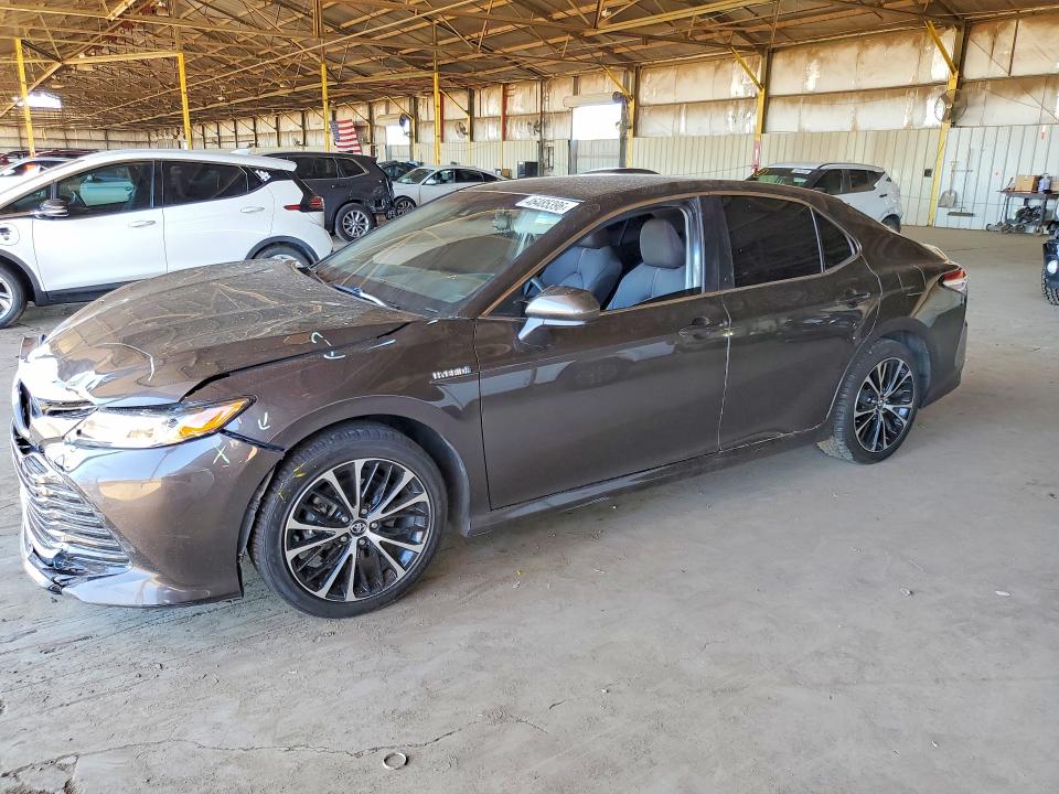 2019 TOYOTA CAMRY HYBRID — VIN 4T1B31HK3KU005244