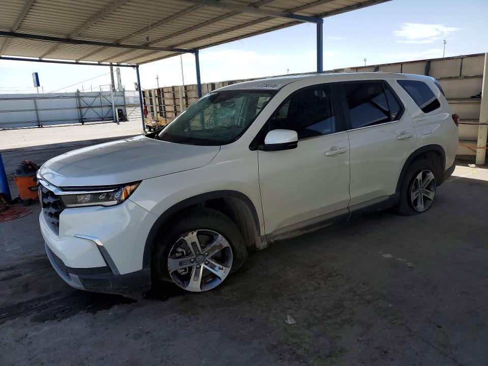 2024 HONDA PILOT — VIN 5FNYG1H52RB049087