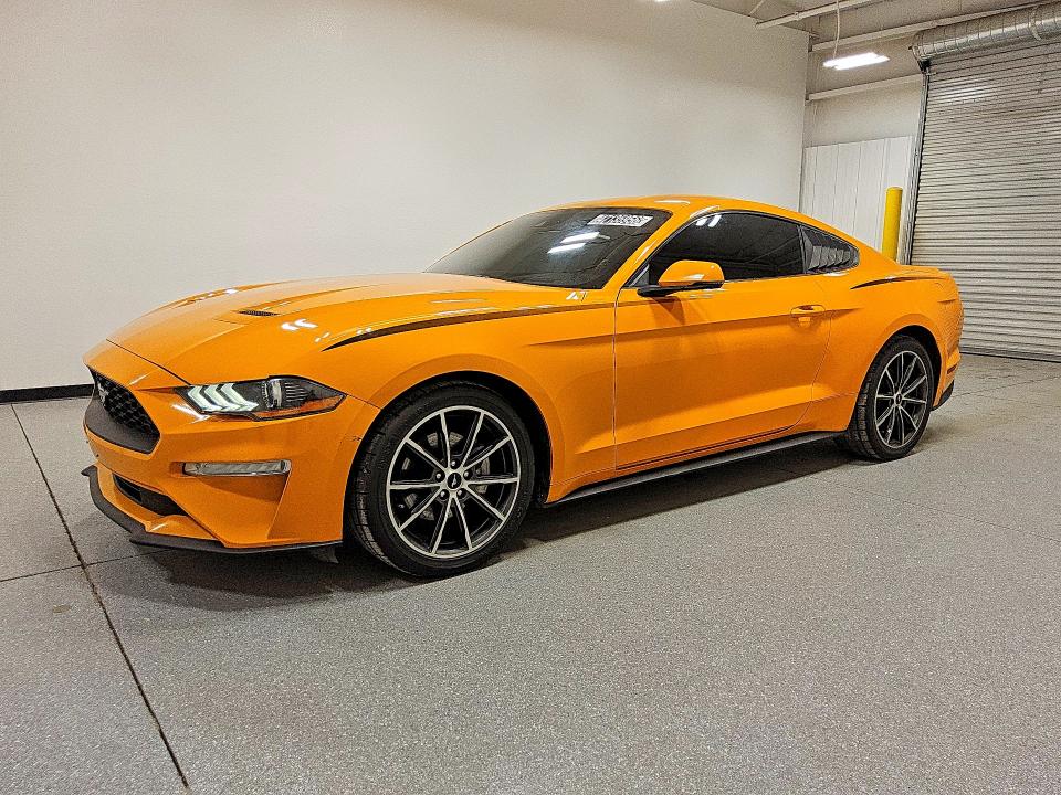2019 FORD MUSTANG — VIN 1FA6P8TH6K5186497
