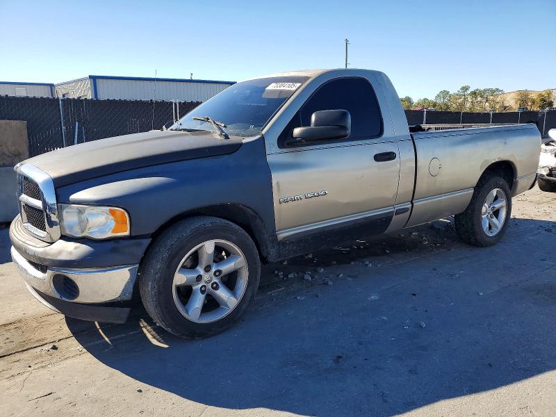 2002 DODGE RAM 1500 — VIN 1D7HA16N52J230810