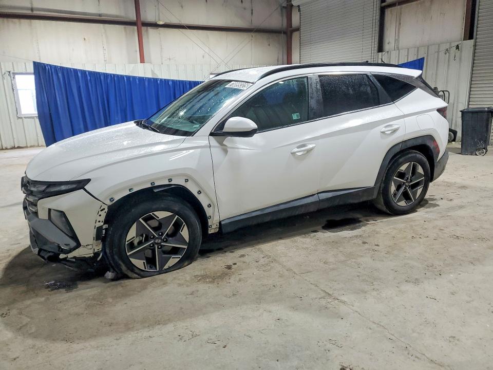 2025 HYUNDAI TUCSON — VIN 5NMJB3DE3SH494931