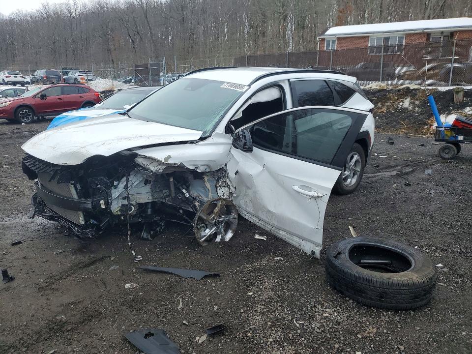 2024 HYUNDAI TUCSON — VIN 5NMJBCDEXRH400604