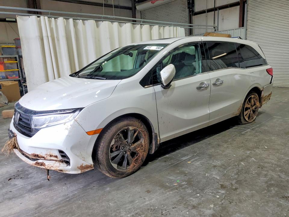 2024 HONDA ODYSSEY — VIN 5FNRL6H90RB025872