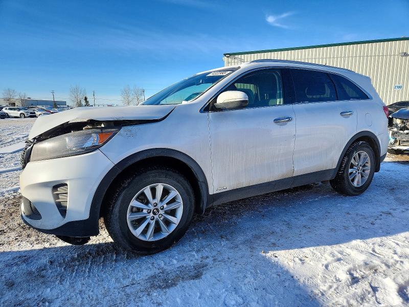 2019 KIA SORENTO — VIN 5XYPGDA39KG513397