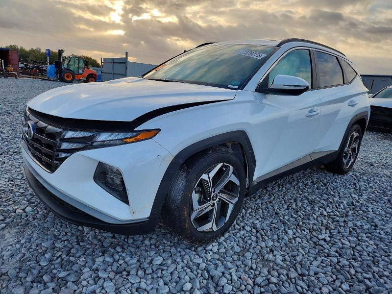 2024 HYUNDAI TUCSON SEL — VIN 5NMJF3DE7RH366013