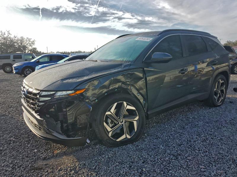2024 HYUNDAI TUCSON SEL — VIN KM8JCCD17RU212265