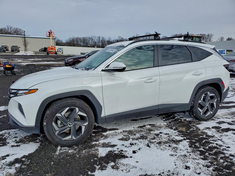2024 HYUNDAI TUCSON — VIN KM8JCCD18RU217765