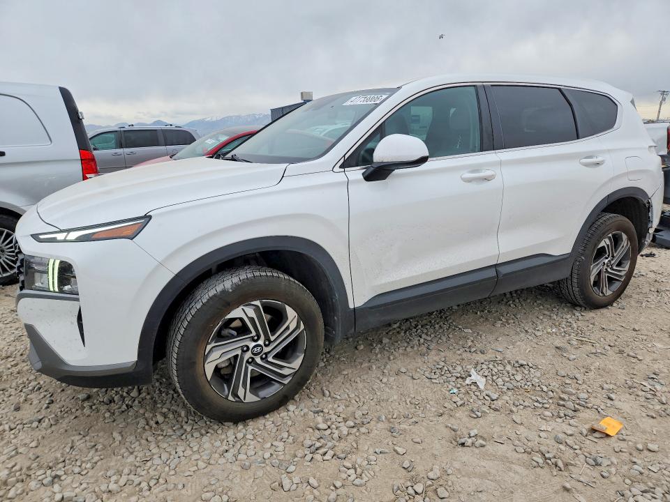 2023 HYUNDAI SANTA FE — VIN 5NMS1DAJ4PH506087