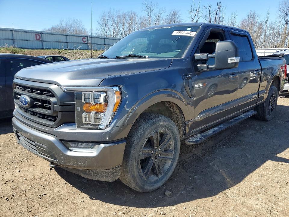 2021 FORD F150 — VIN 1FTFW1E59MFB36049