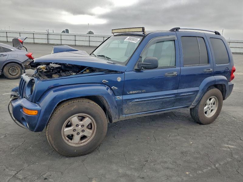 2004 JEEP LIBERTY LI — VIN 1J4GL58K94W300934