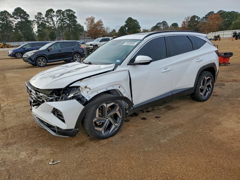 2023 HYUNDAI TUCSON SEL — VIN 5NMJFCAE0PH265719