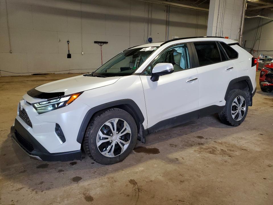 2024 TOYOTA RAV 4 — VIN 2T3DWRFV2RW243728