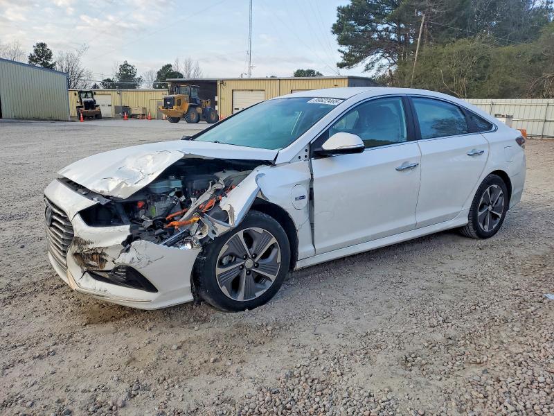 2019 HYUNDAI SONATA PLU — VIN KMHE14L20KA089228