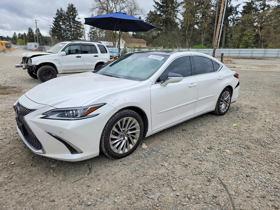 2020 LEXUS ES — VIN 58AEZ1B19LU081525