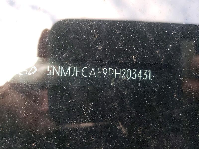 5NMJFCAE9PH203431