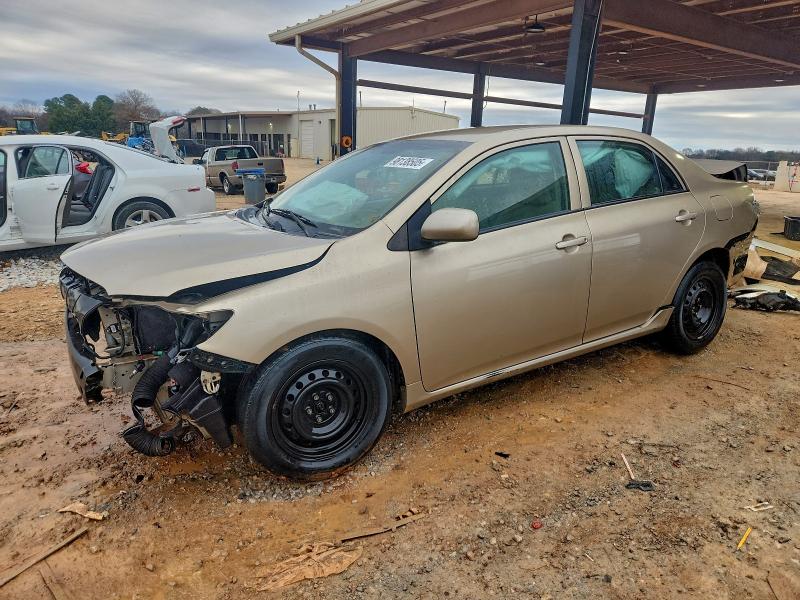 2010 TOYOTA COROLLA BA — VIN 1NXBU4EE2AZ218293