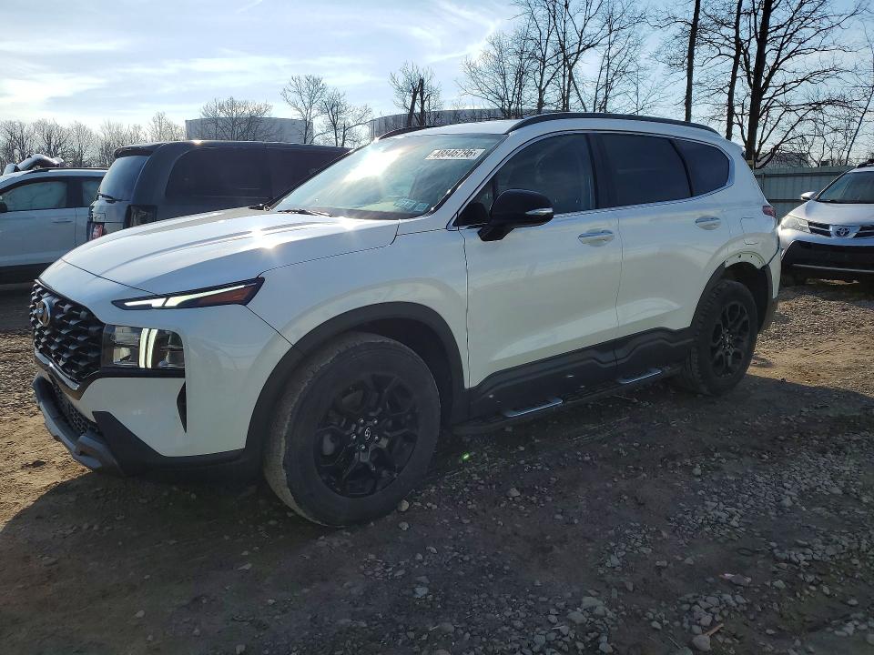 2023 HYUNDAI SANTA FE — VIN 5NMS6DAJ4PH514014