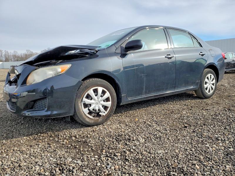 2010 TOYOTA COROLLA BA — VIN 2T1BU4EE4AC495223