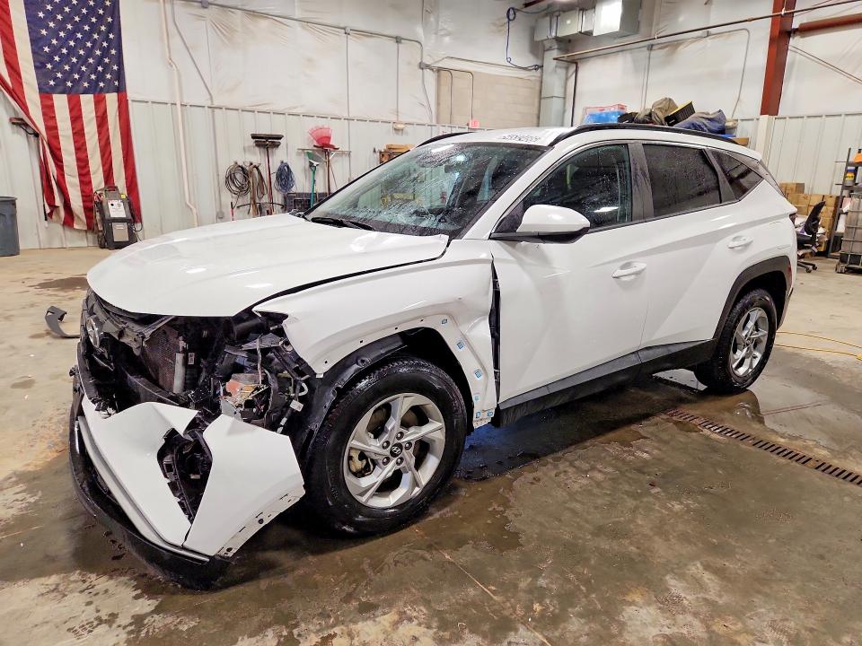 2024 HYUNDAI TUCSON — VIN 5NMJBCDE2RH421821