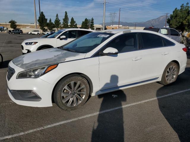 2016 HYUNDAI SONATA SPO — VIN 5NPE34AF8GH434123