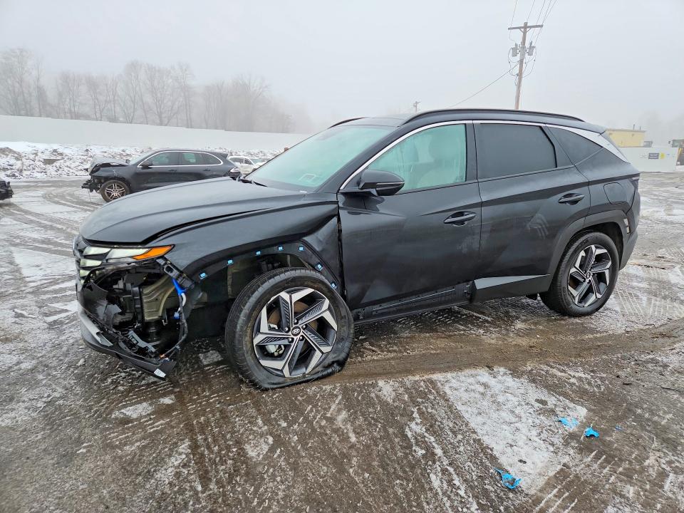2024 HYUNDAI TUCSON HYBRID — VIN KM8JCCD14RU240489